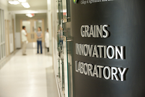 Picture of Grains Innovation Lab